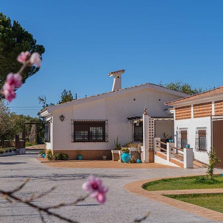 Pensjonat Recreo San Andres Ronda Zewnętrze zdjęcie